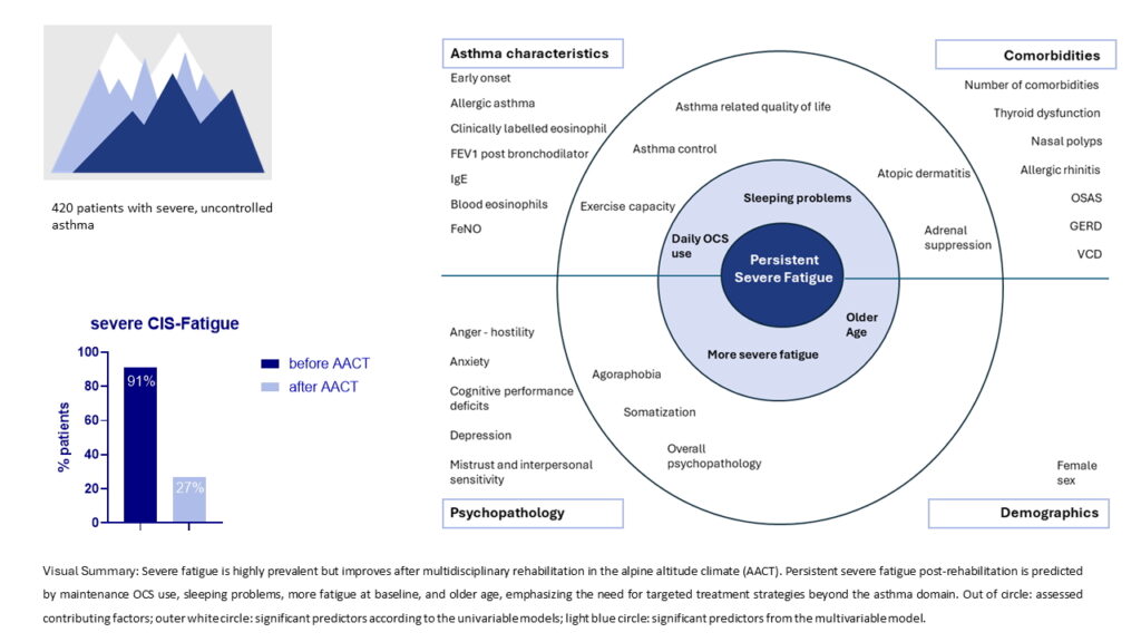Graphical Abstract Visual Summary